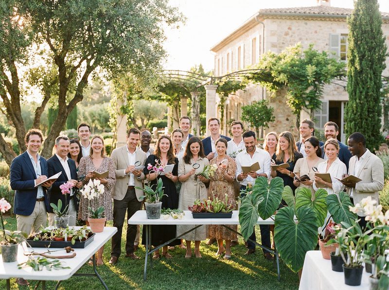 萝莉岛植物活动